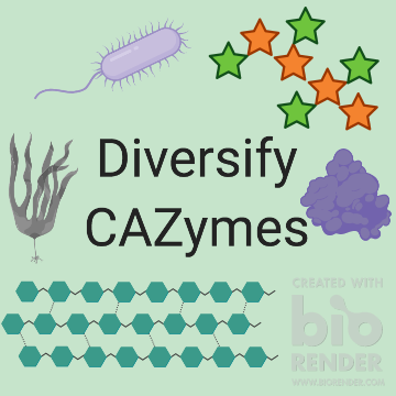 DiversifyCAZymes Avatar